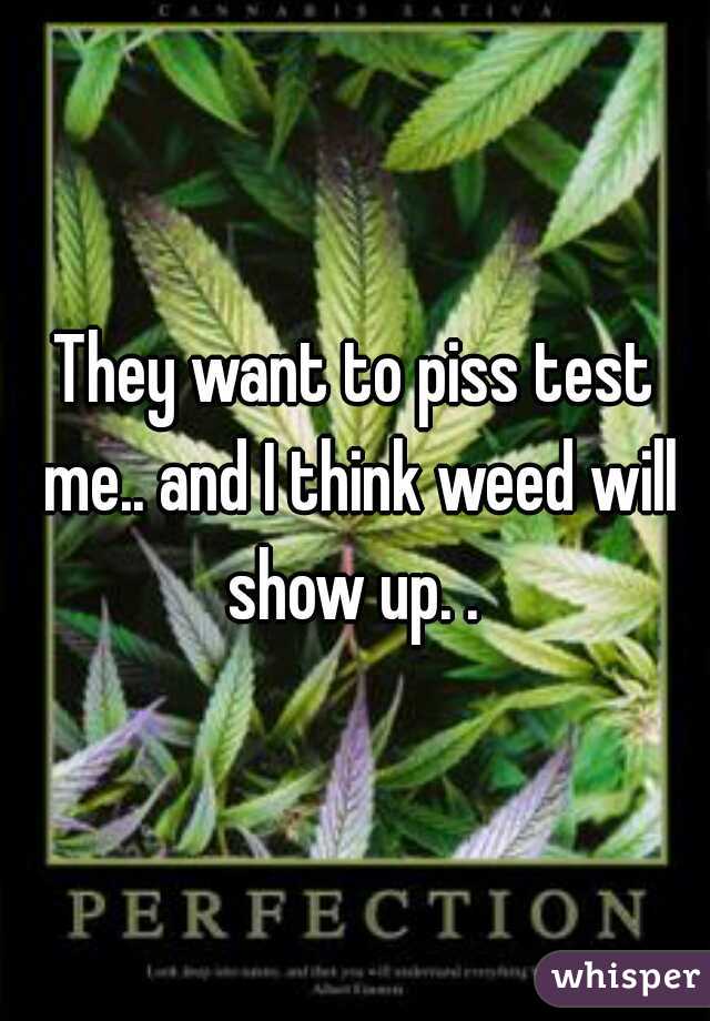 They want to piss test me.. and I think weed will show up. . 