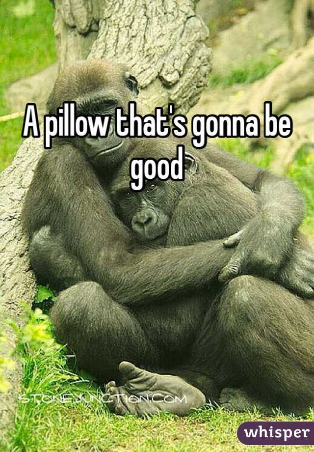 A pillow that's gonna be good