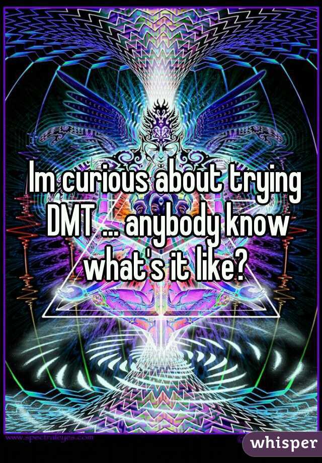 Im curious about trying DMT ... anybody know what's it like? 