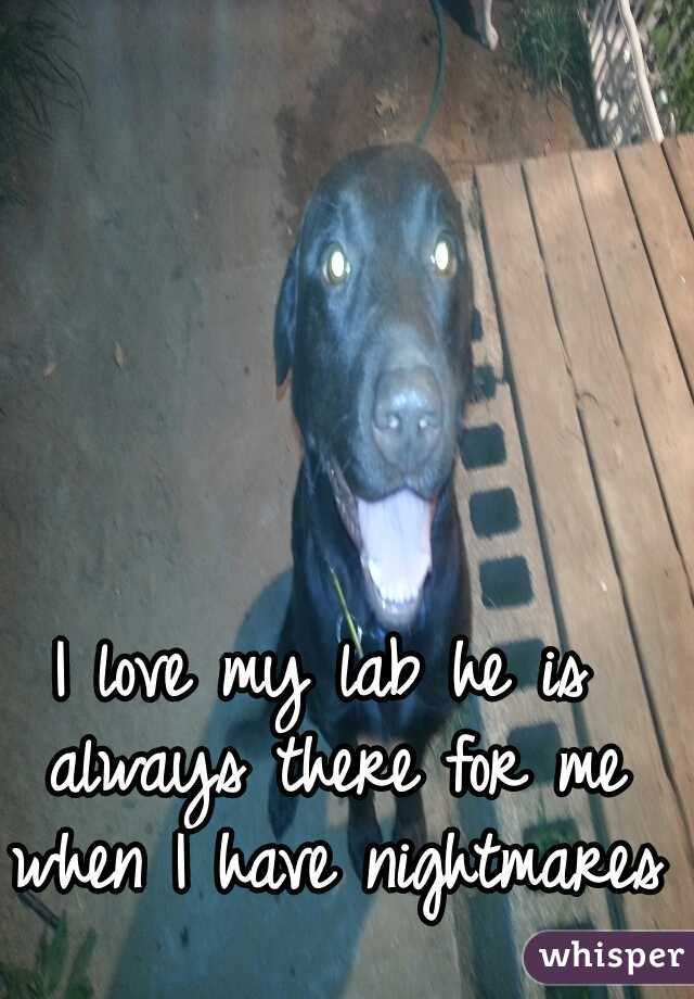 I love my lab he is always there for me when I have nightmares