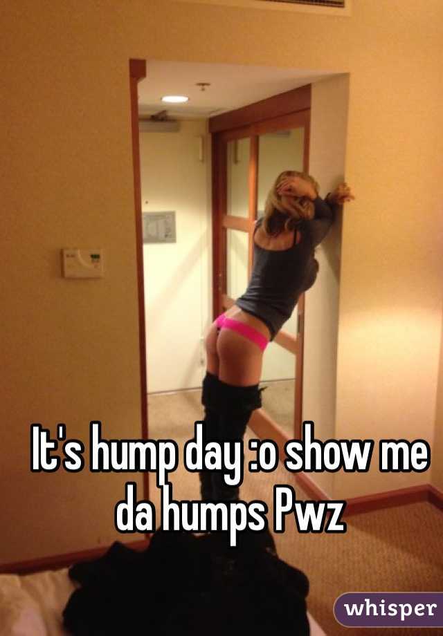 It's hump day :o show me da humps Pwz 