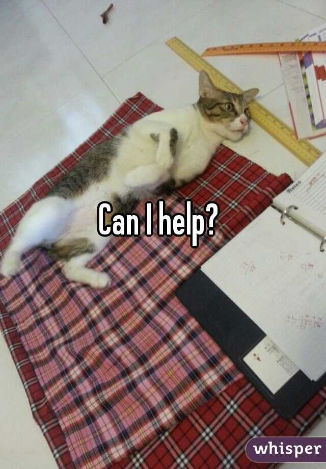 Can I help? 