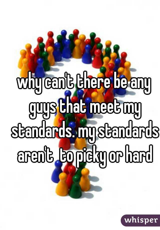 why can't there be any guys that meet my standards. my standards aren't  to picky or hard