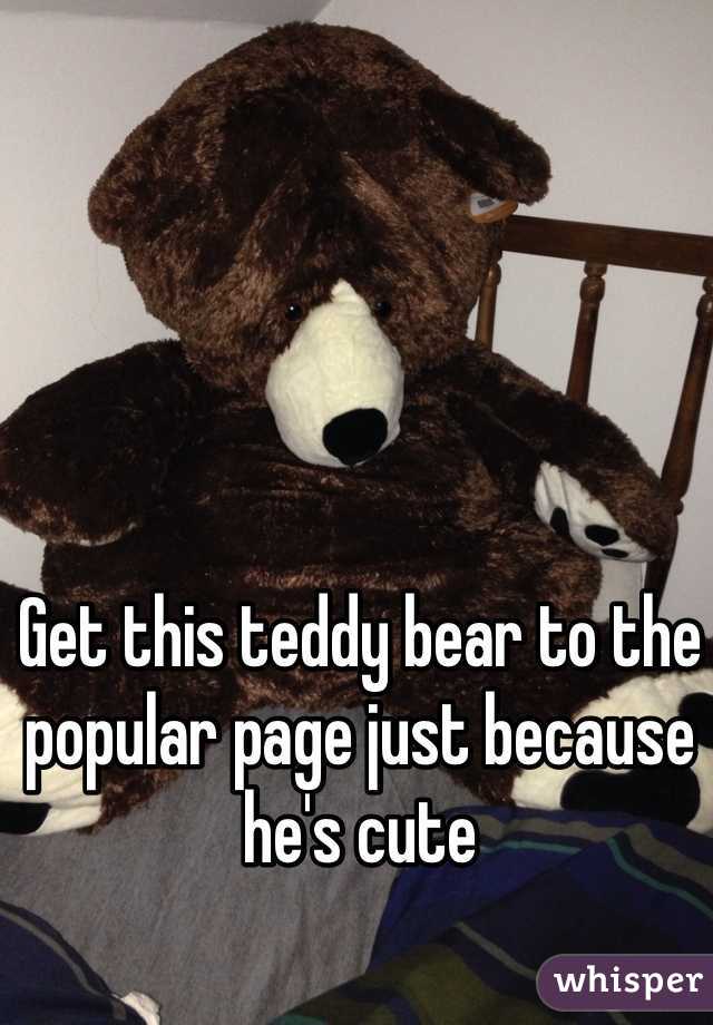 Get this teddy bear to the popular page just because he's cute
