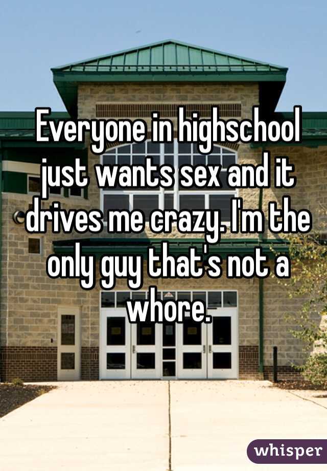 Everyone in highschool just wants sex and it drives me crazy. I'm the only guy that's not a whore.