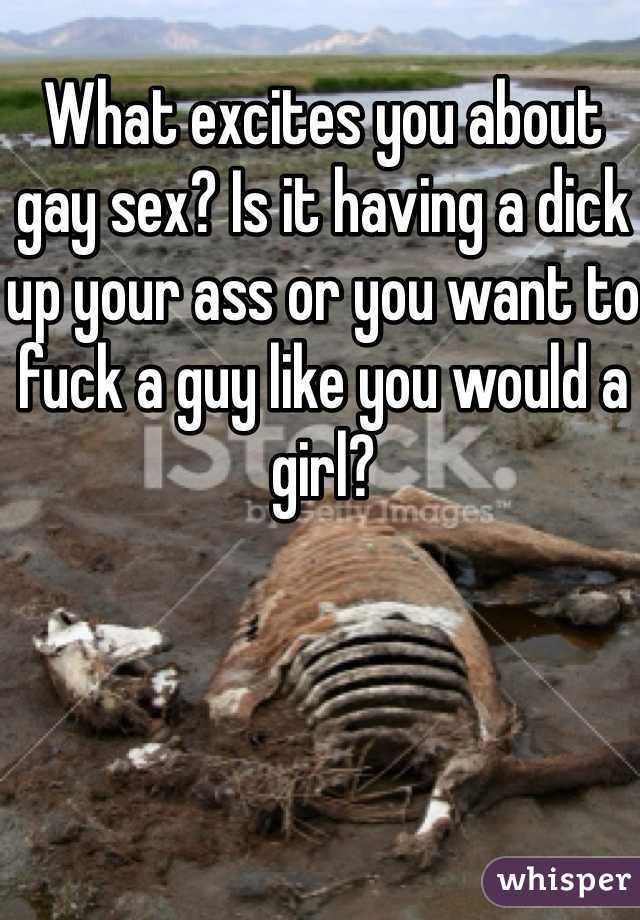 What excites you about gay sex? Is it having a dick up your ass or you want to fuck a guy like you would a girl?