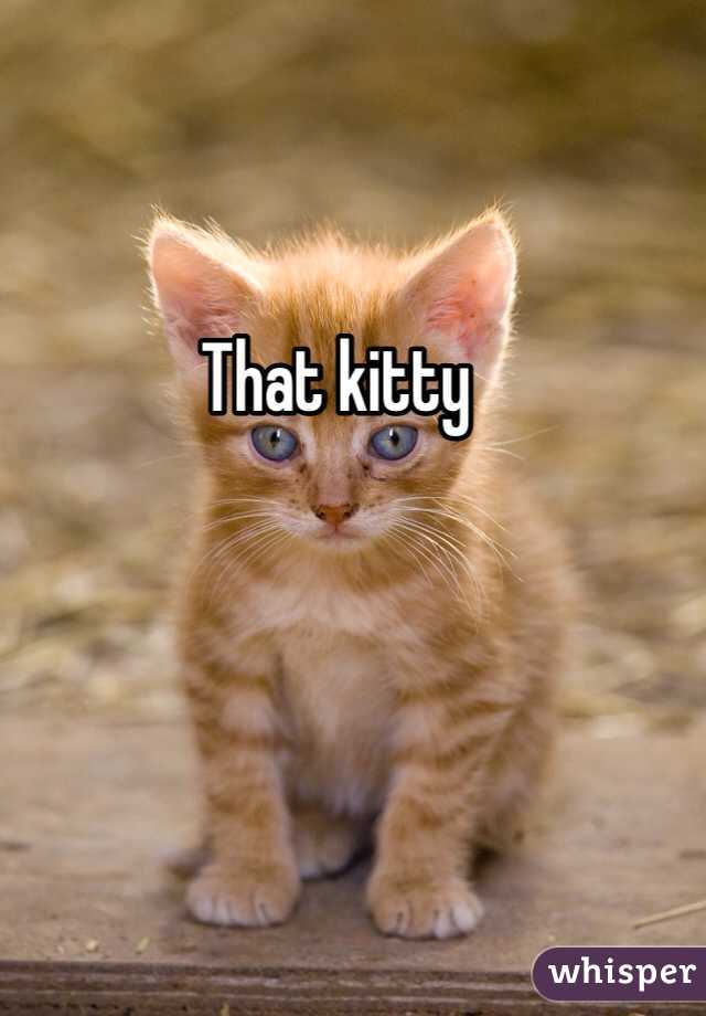 That kitty