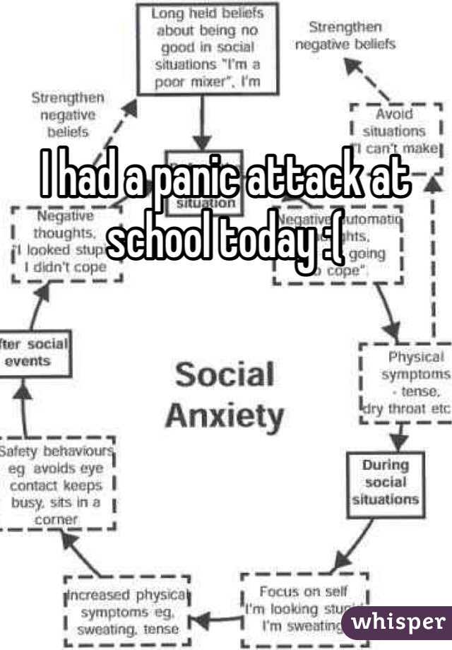 I had a panic attack at school today :(