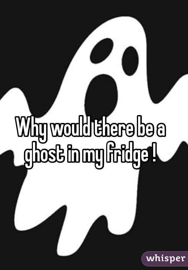 Why would there be a ghost in my fridge ! 