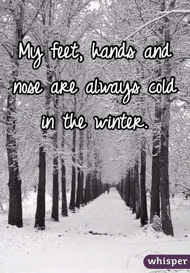 My feet, hands and nose are always cold in the winter. 