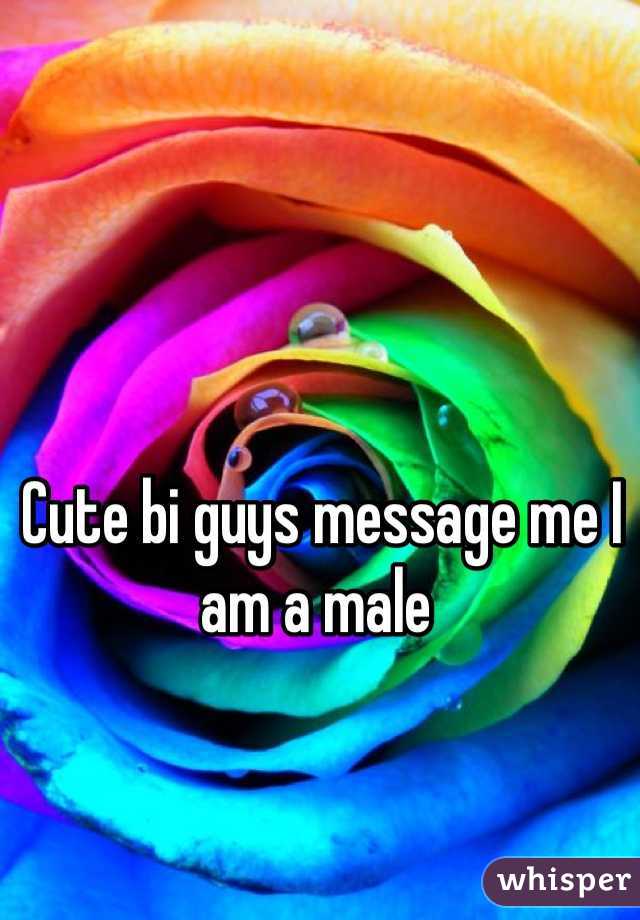 Cute bi guys message me I am a male 