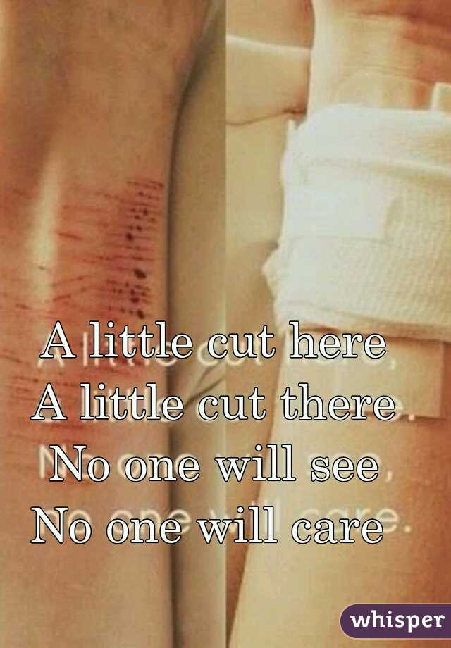 A little cut here
A little cut there
No one will see
No one will care 