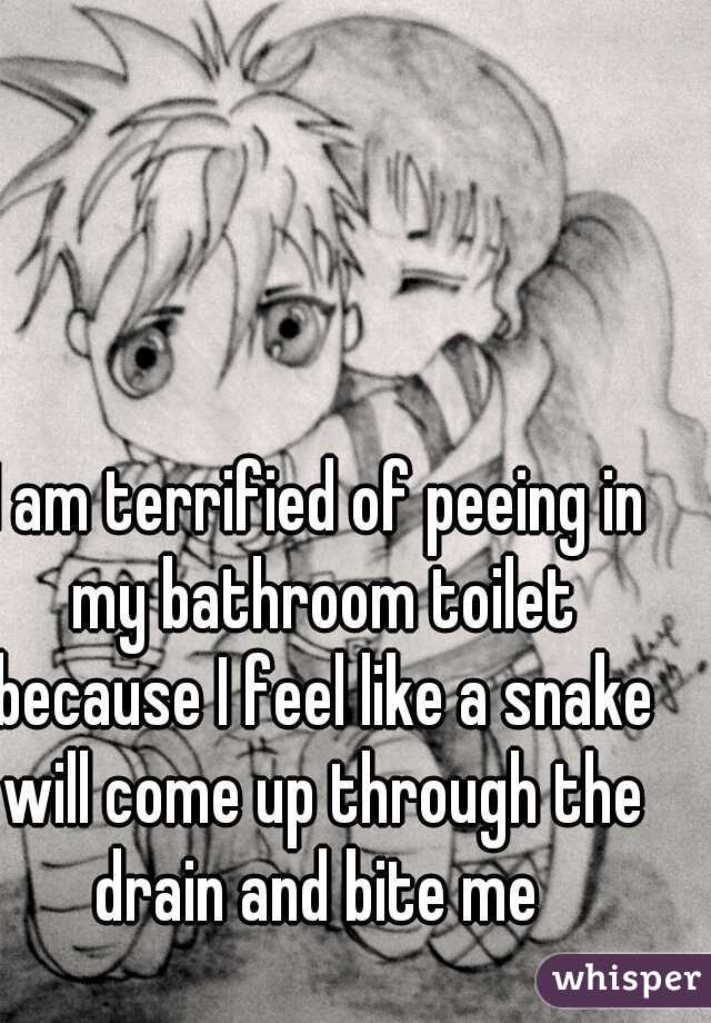 I am terrified of peeing in my bathroom toilet because I feel like a snake will come up through the drain and bite me 