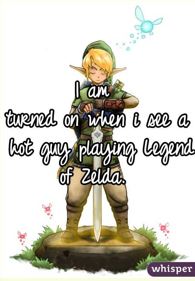 I am 
turned on when i see a hot guy playing Legend of Zelda.  