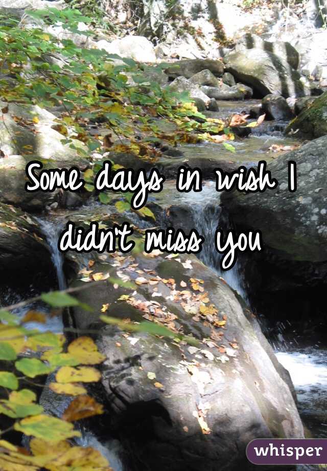 Some days in wish I didn't miss you