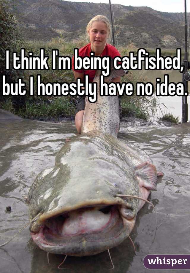 I think I'm being catfished, but I honestly have no idea.