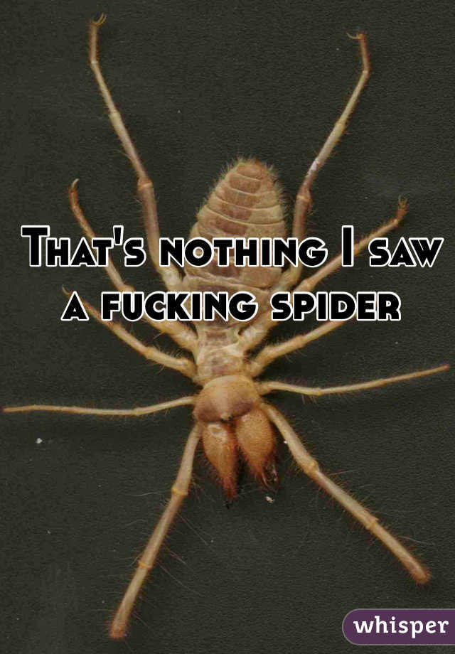 That's nothing I saw a fucking spider