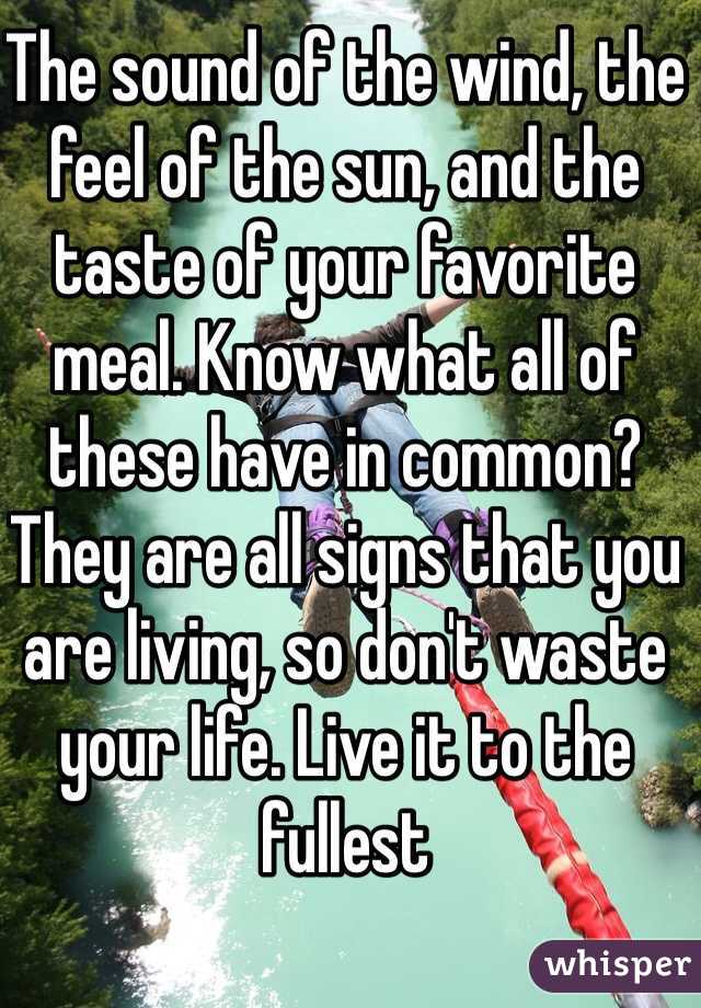 The sound of the wind, the feel of the sun, and the taste of your favorite meal. Know what all of these have in common? They are all signs that you are living, so don't waste your life. Live it to the fullest
