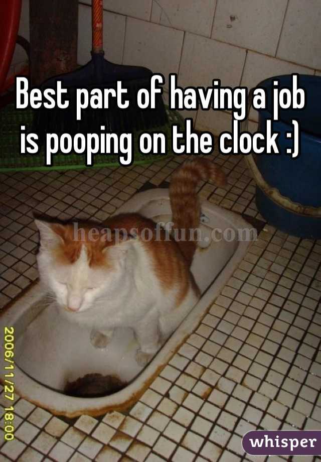 Best part of having a job is pooping on the clock :)