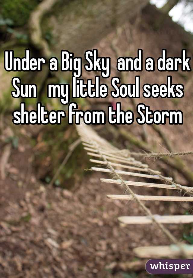 Under a Big Sky  and a dark Sun   my little Soul seeks shelter from the Storm 