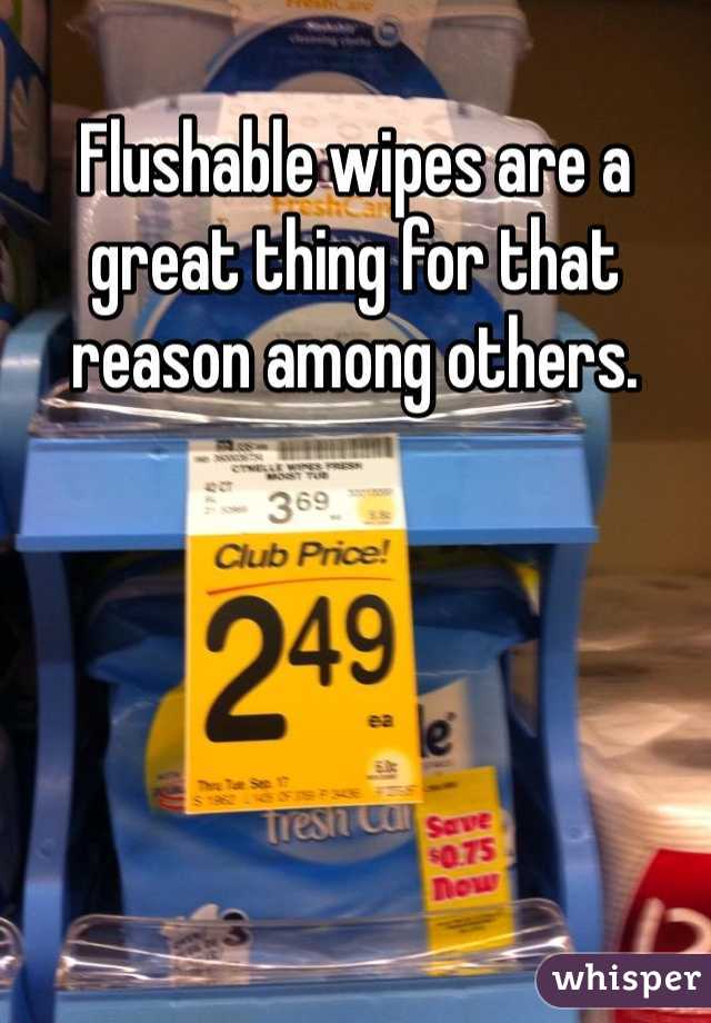 Flushable wipes are a great thing for that reason among others. 