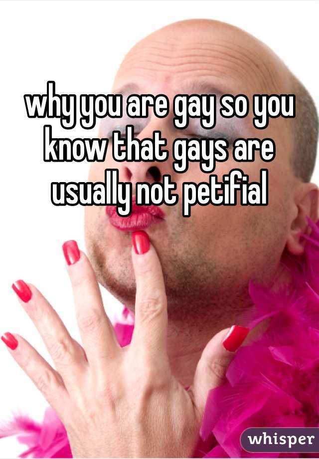 why you are gay so you know that gays are usually not petifial 