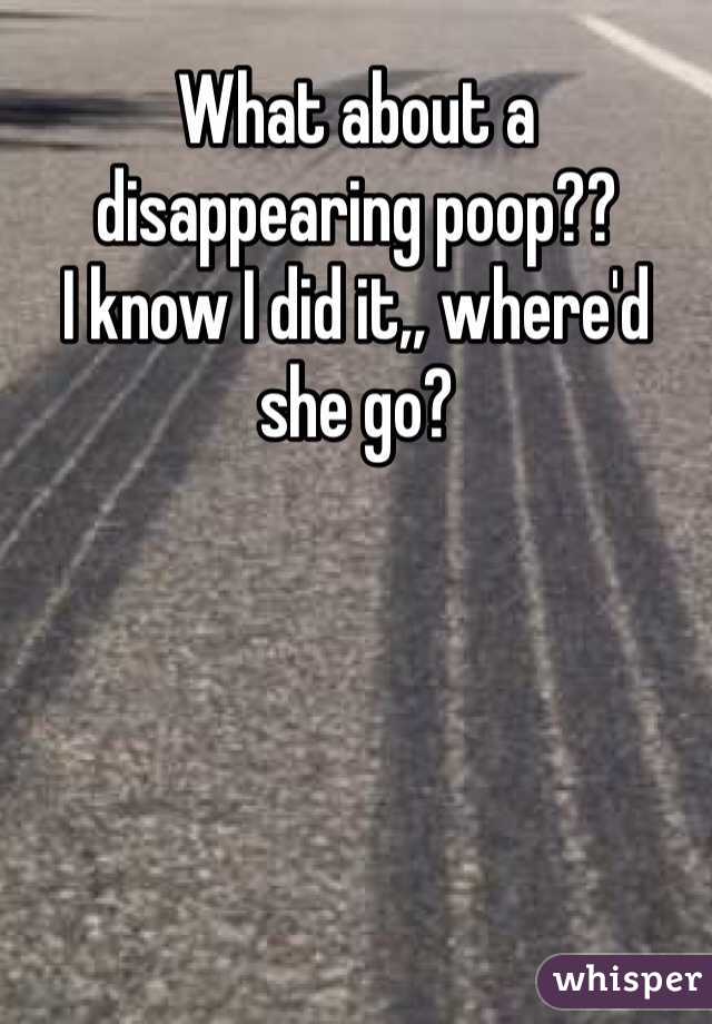 What about a disappearing poop??
I know I did it,, where'd she go?