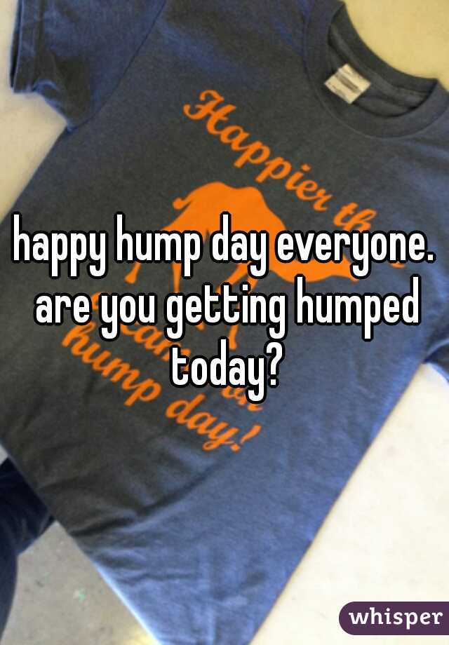 happy hump day everyone. are you getting humped today?