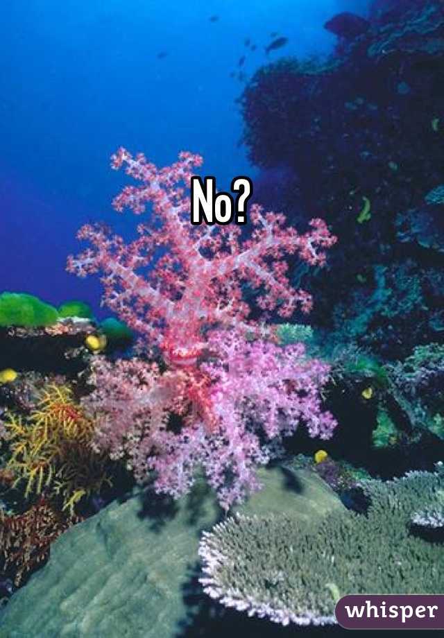 No?
