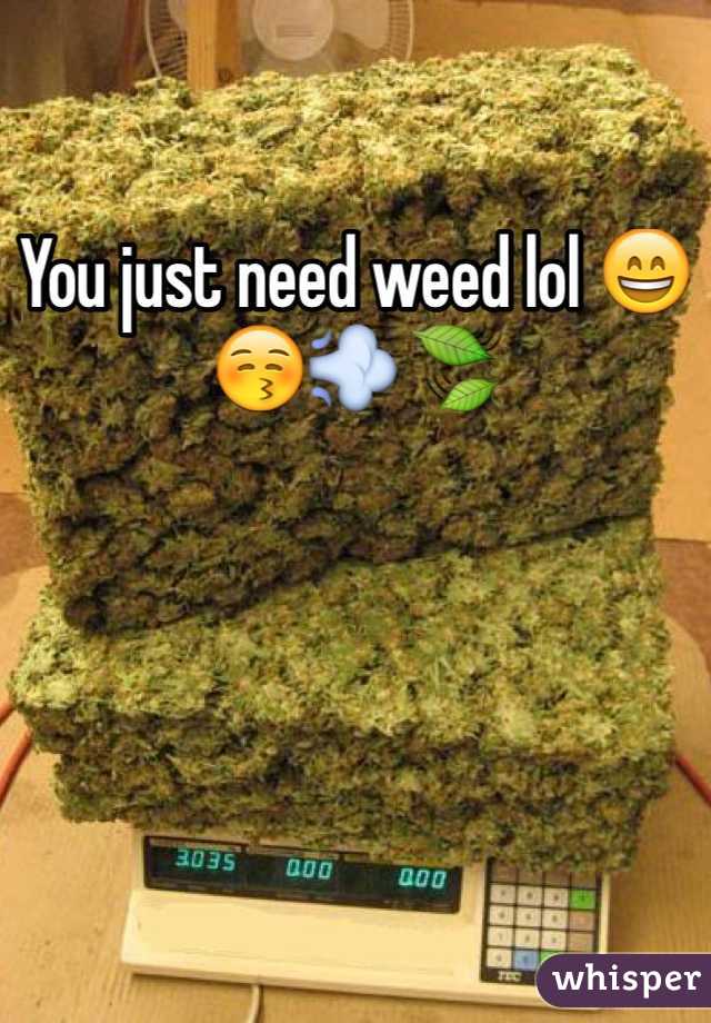 You just need weed lol 😄😚💨🍃