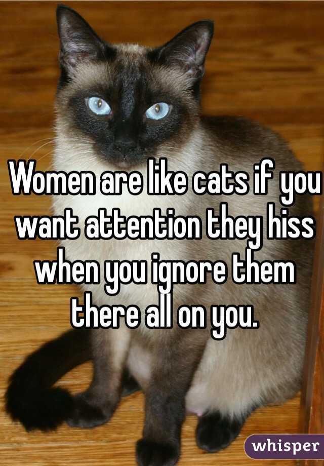 Women are like cats if you want attention they hiss when you ignore them there all on you. 