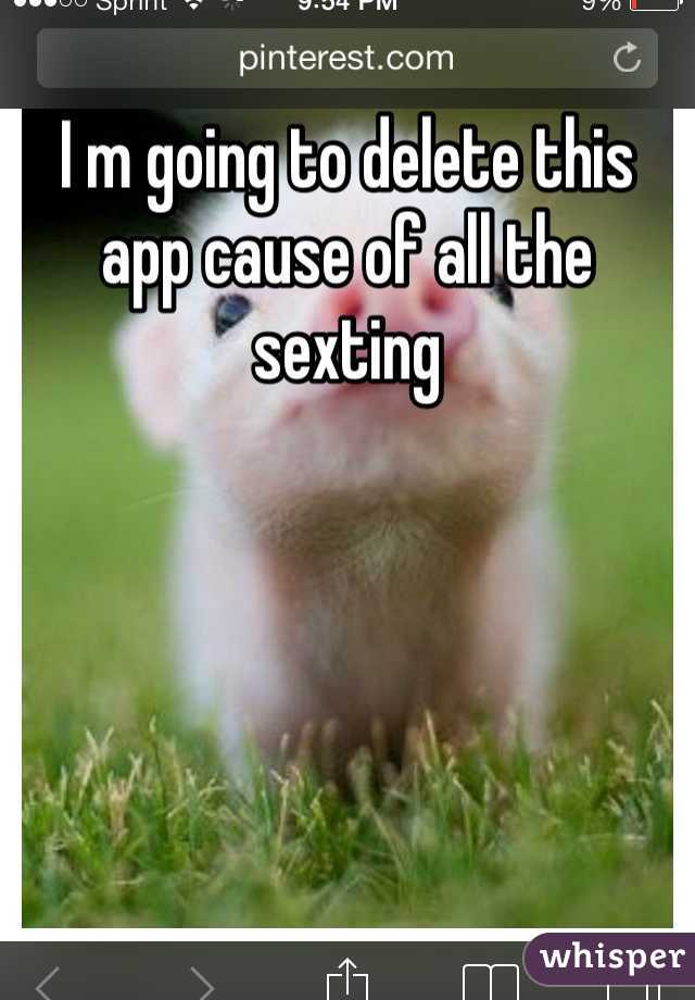 I m going to delete this app cause of all the sexting