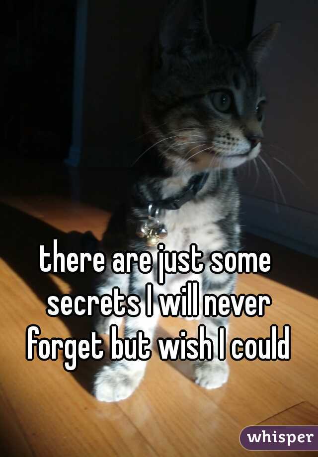 there are just some secrets I will never forget but wish I could
