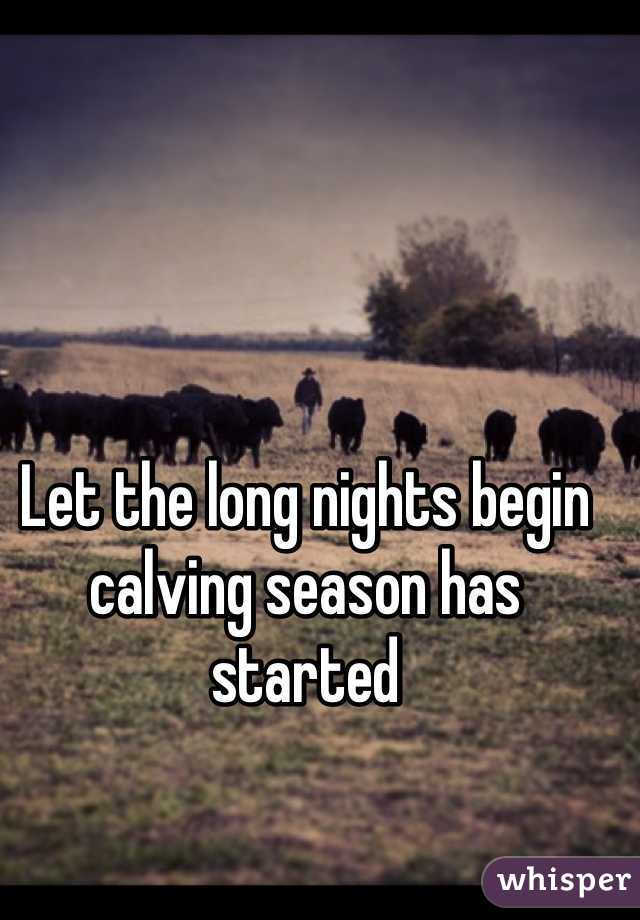 Let the long nights begin calving season has started 