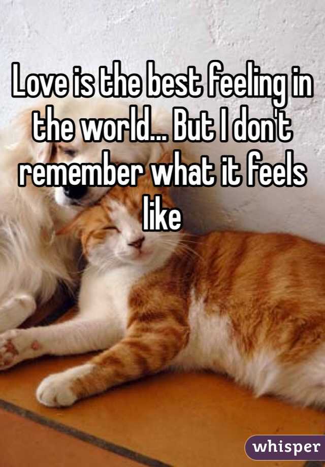 Love is the best feeling in the world... But I don't remember what it feels like