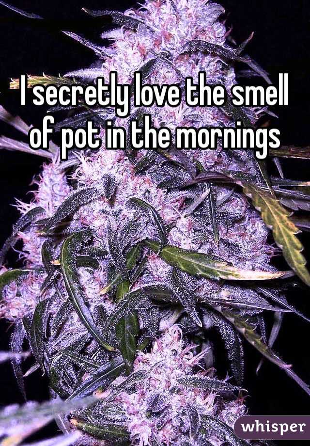 I secretly love the smell of pot in the mornings 