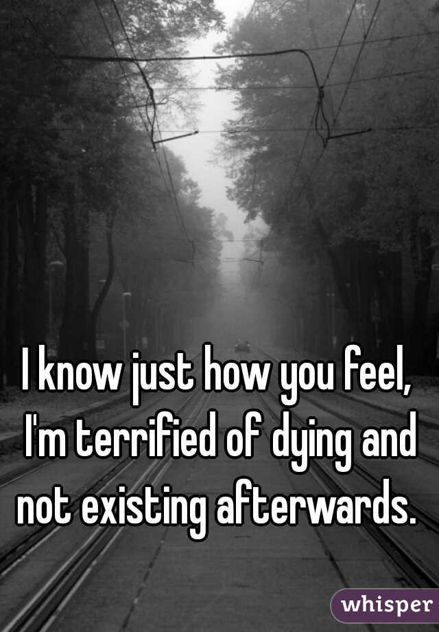 I know just how you feel, I'm terrified of dying and not existing afterwards. 