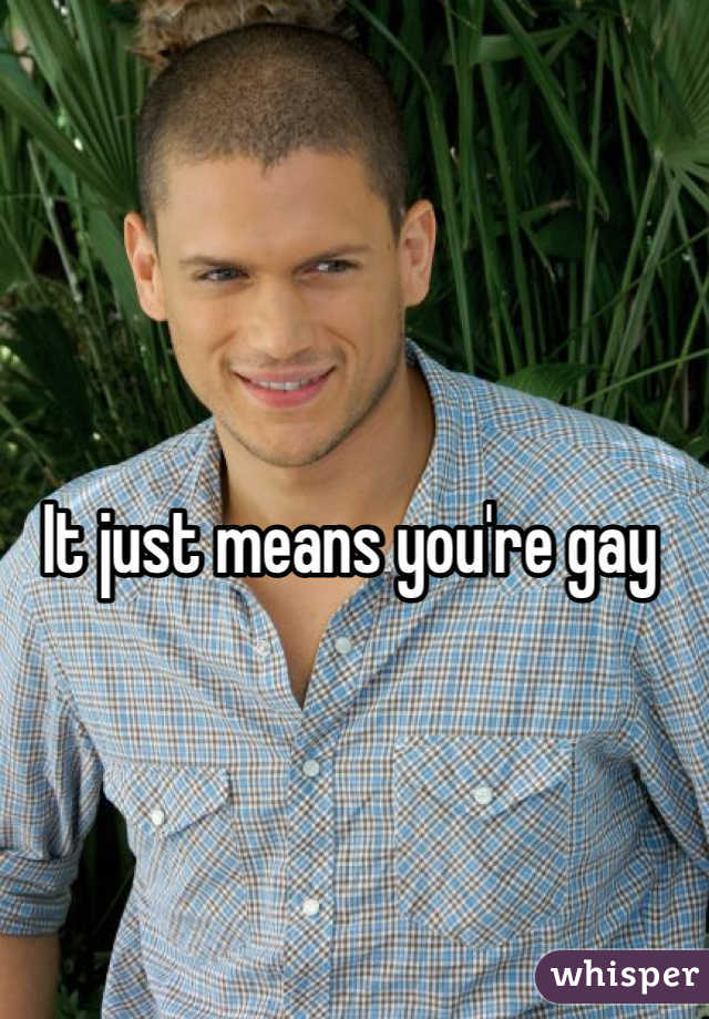 It just means you're gay