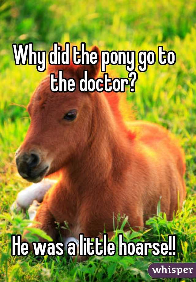 Why did the pony go to the doctor?





He was a little hoarse!!