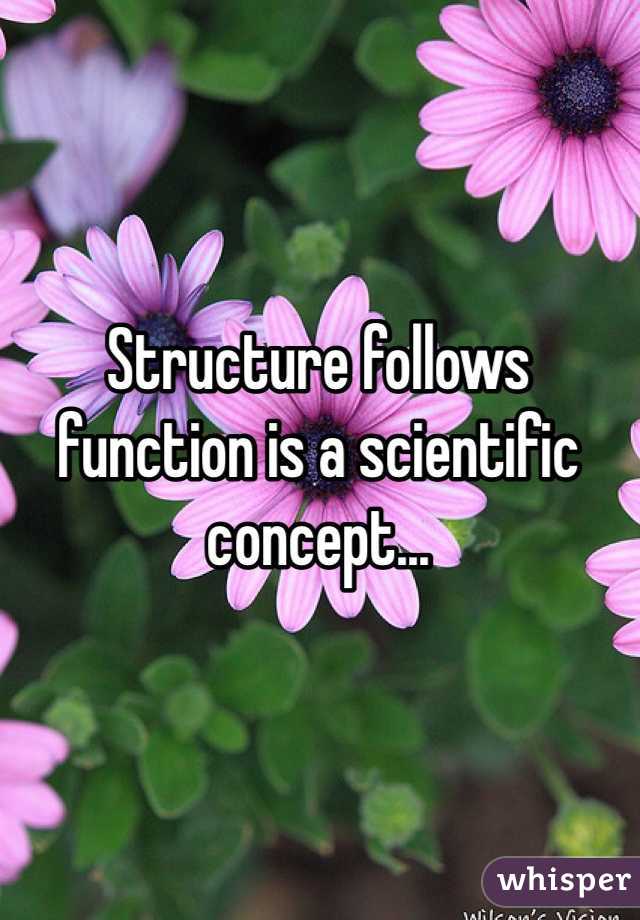 Structure follows function is a scientific concept...