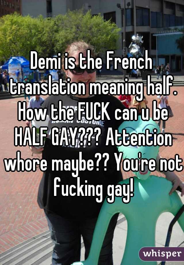 Demi is the French translation meaning half. How the FUCK can u be HALF GAY??? Attention whore maybe?? You're not fucking gay!