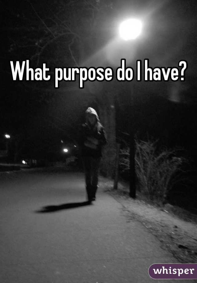 What purpose do I have?