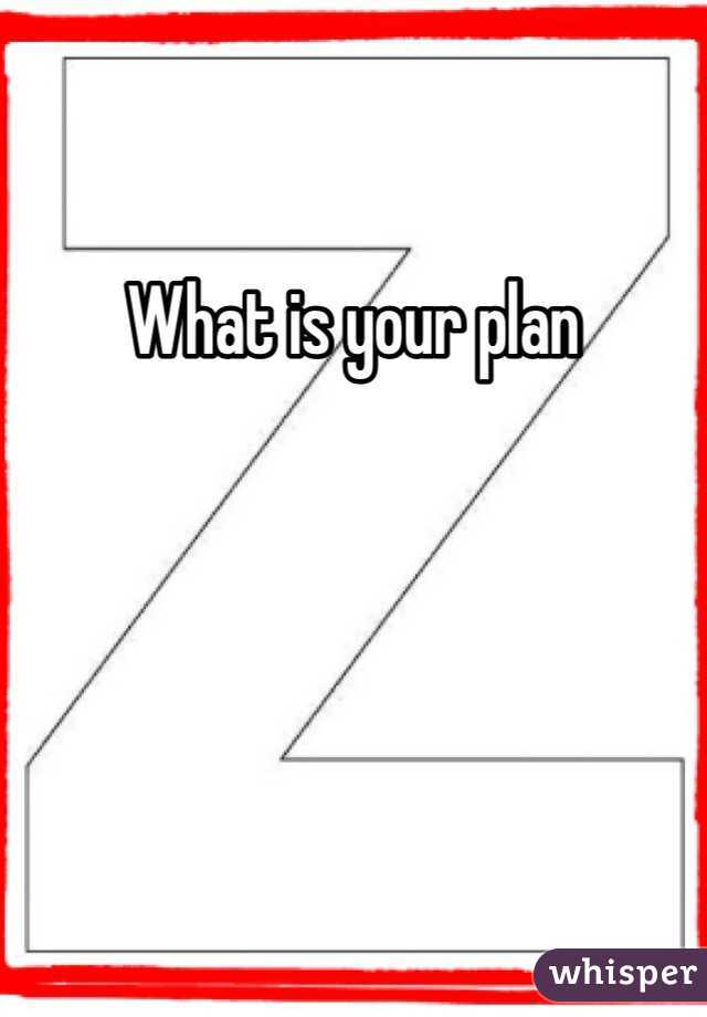 What is your plan