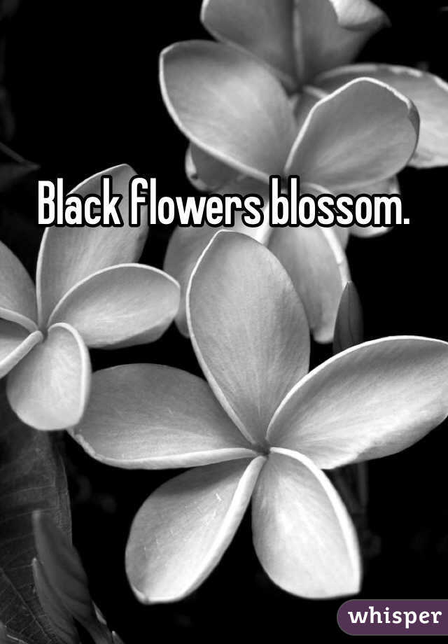 Black flowers blossom.
