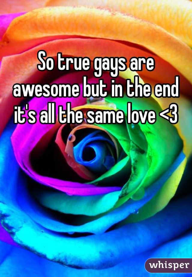 So true gays are awesome but in the end it's all the same love <3