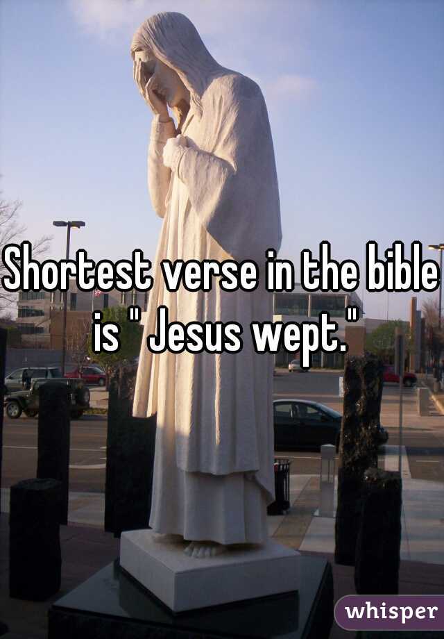 Shortest verse in the bible is " Jesus wept."
