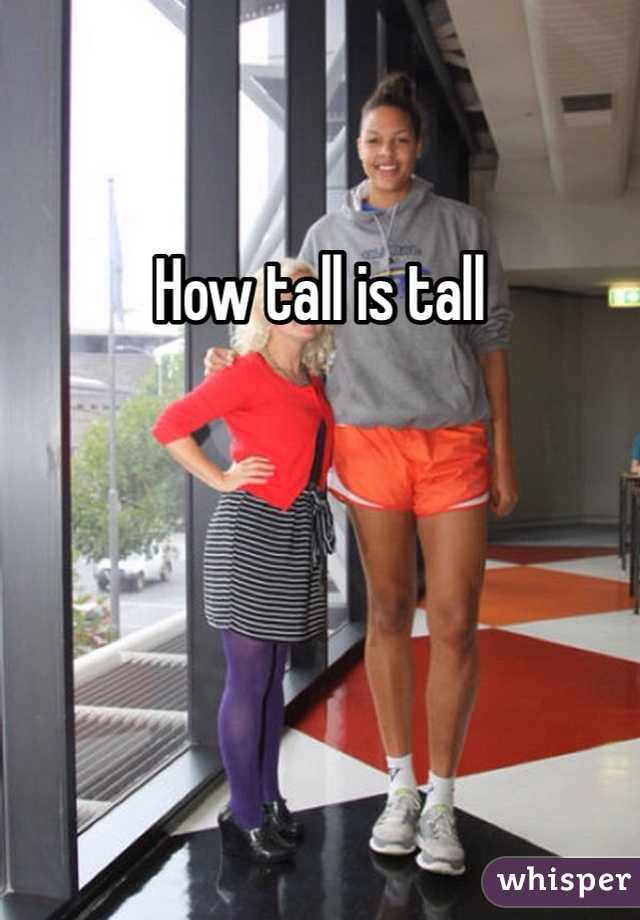 How tall is tall