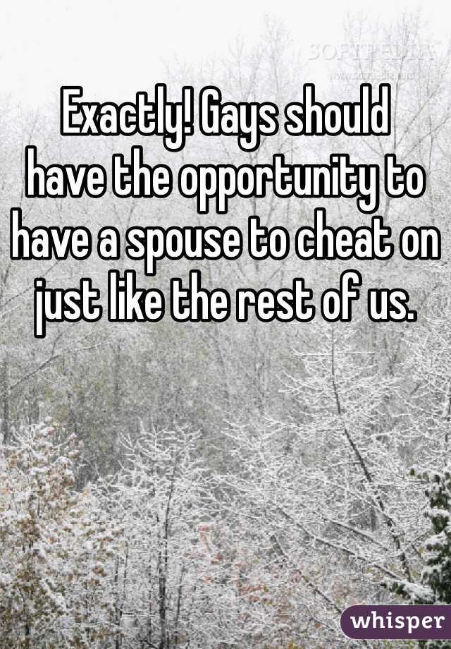 Exactly! Gays should 
have the opportunity to have a spouse to cheat on just like the rest of us.