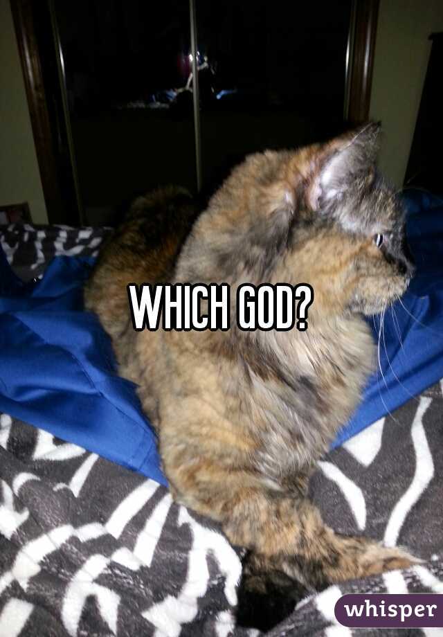 WHICH GOD?