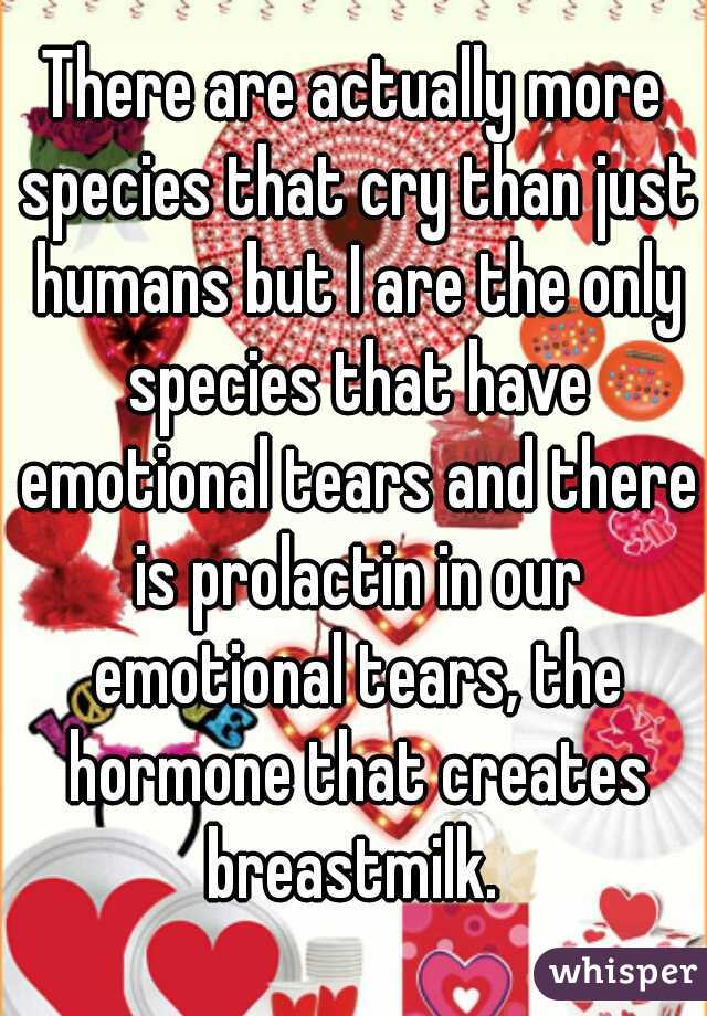 There are actually more species that cry than just humans but I are the only species that have emotional tears and there is prolactin in our emotional tears, the hormone that creates breastmilk. 